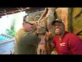 Meet Todd, Props Crew Chief at Indiana Jones Epic Stunt Show Spectacular | Walt Disney World