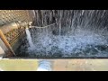 Cooling Tower Overflowing Follow Up Work Order | I Should’ve Check This