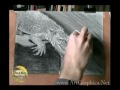How to draw animals : Drawing Alligators (part 6 of 6)