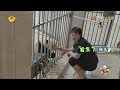 MULTI SUB｜熊猫认得自己的饲养员吗？贤贤崽强制开机边喝奶边犯困超萌！饲养员“惊魂”夜巡揭秘内舍异响｜《熊猫一家人Panda‘s Family》｜EP04｜MangoTV