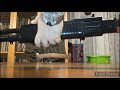guns armi ASMR Colt M4 franchi spas12 shotgun knife coltelli Glock 17 macarov 1911