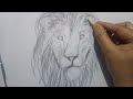 How to draw a realistic lion face||pencil ✏️ drawing||