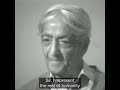 I don't know what love is | Krishnamurti