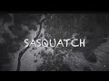 Sasquatch revised model and preliminary hair test