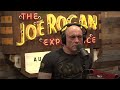 Joe Rogan Experience #2134 - Paul Stamets