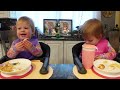 Twins try fish and chips with tartar sauce