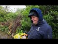 Rescuing Peggy's Garden.. After A NINE Year Bramble Invasion! Ep1