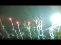 50 Shots Custom Dragon Fireworks (Z Form Purple Peony with STC Finale) - New Year 2023 Fireworks