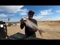 Fish and Wildlife Warden Got Me!! | CA Aqueduct Striper Fishing | Iu Mien Fishing