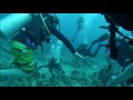SCUBA Diving In Negril, Jamaica