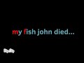 My fish died…