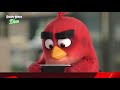 ANGRY BIRDS Evolution