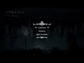 17 Minutes of a normal person playing Hollow Knight
