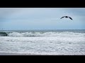 Soothing Ocean Slow Motion Relaxation Ocean Sounds for Sleep and Calm