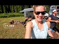 🏞🚐We Love FREE Colorado Camping! | Newstates in the States