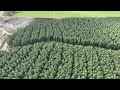A harvesting operation in full swing - an excellent result for the forest owner