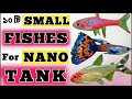 10 Best Fish Ideas for 5 Gallon Tank || Fish for 5 Gallon Aquarium || Expert Aquarist