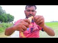 Fishing Video🎣|| Traditional boy fishing with a hook in the village canal || Best hook fishing