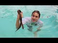 HURRICANE BLOWS SNAKES INTO MY POOL !