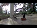 2 birds walk up to a cat food dish