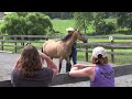 Difficult Horse:  A Real Life/Real Time Training Session (Episode 96) - Herm Gailey