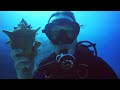 Scuba Diving JAMAICA / NEGRIL