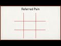 Abdominal Pain Causes by Location and Quadrant [Differential Diagnosis Chart]