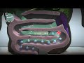 Sonic Goes Inside Sackboy Again! - LittleBigPlanet 3 PS4 Gameplay | EpicLBPTime