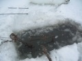 Ice Beaver