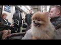 The first time in the subway - 1