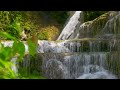 Relaxing Music with Water Sounds for Stress Relief and Positive Energy | Nature Sounds Music