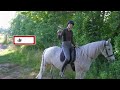 HOW TO RIDE A HORSE FOR BEGINNERS (STEP BY STEP) 🐎