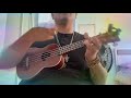 Un Torbellino de colores- Lucy (LSD) ácido y psicodélicos canción original Ukulele