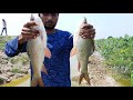Amazing Big rohu fish catch || Incredible fishing