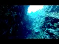 Scuba Diving at Negril Jamaica~ Coral Reef and Cave