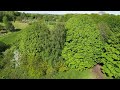 Relaxing flying over green stuff