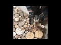 DIY floor, Log floor, Unique flooring, Wood flooring, Handmade floor, Rustic floor, Natural flooring
