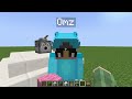 Only Using ONE COLOR in Minecraft!