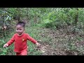 A single mother lost her child in the forest and was helpless to find him