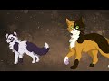 Why we all FORGOT about Violetshine (Warrior Cats)