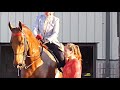 Outside || SaddleSeat Music Video ||