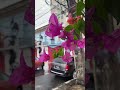 Old San Juan in a raining day