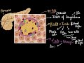 Pancreas: insulin & glucagon | chemical coordination | Biology class 11 | Khan Academy