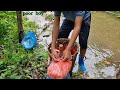 Orphan boy Nam's uses his hands to catch carp from the stream to sell. How to catch fish primitively