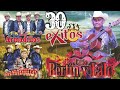 Bertin y Lalo - Los Armadillos de la sierra - Dueto Los Armadillos🎸LOS MEJORES GUITARRAS DEL RANCHO🎸