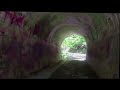 Coal Hollow Tunnel