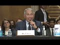 'You do not know what you are talking about!' Fauci and Paul CLASH at Senate hearing