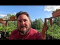 How We Fixed Square Foot Gardening And Grow More Food, Intensively!