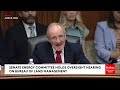 'I Represent 1.8 Million Angry People—Angry At You': Risch Goes Beast Mode On Tracy Stone-Manning