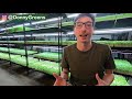 How To Store Your Microgreens For LONGER SHELF LIFE